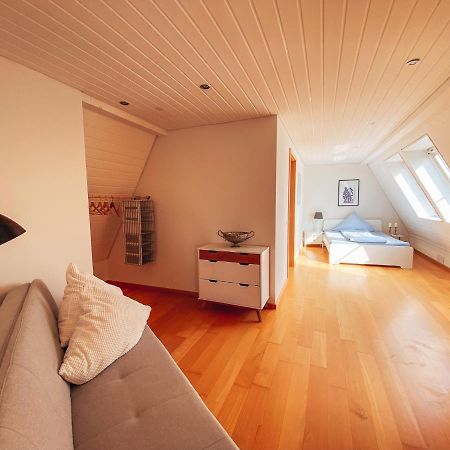Rheinloft 3 - Grosse Giebelwohnung Mit Dachterrassen An Der Rheinpromenade Emmerich Kültér fotó