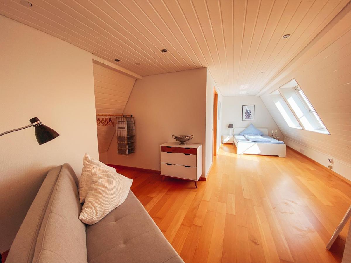Rheinloft 3 - Grosse Giebelwohnung Mit Dachterrassen An Der Rheinpromenade Emmerich Kültér fotó